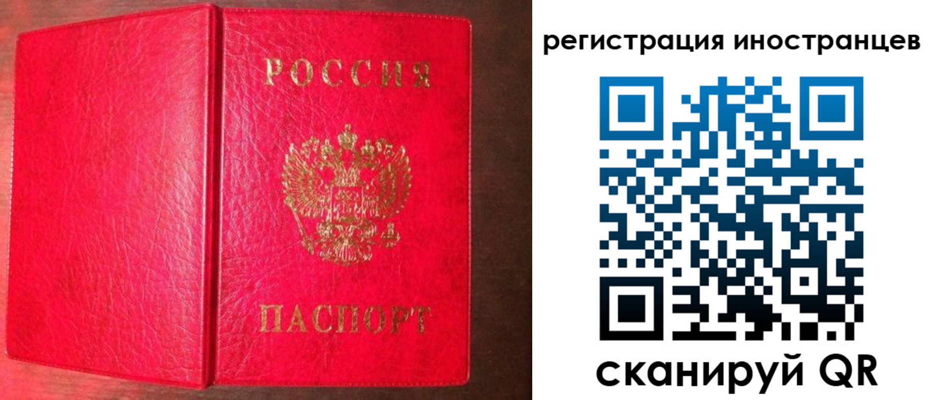 прописка штамп в Ростове-на-Дону